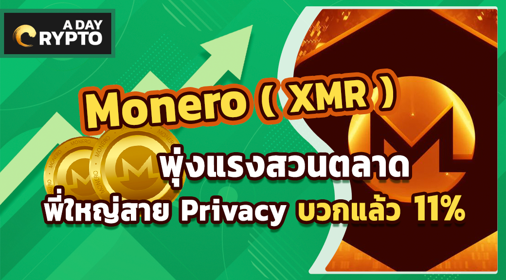 Monero ( XMR ) พุ่งแรงสวนตลาด พี่ใหญ่สาย Privacy บวกแล้ว 11%