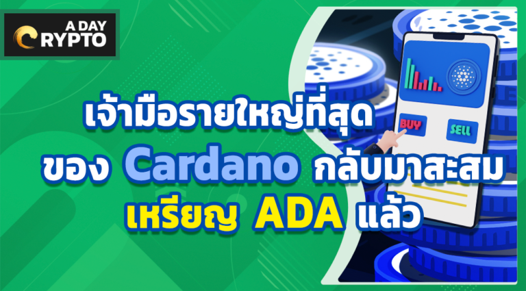 เจ้ามือรายใหญ่ที่สุดของ Cardano ได้กลับมาสะสมเหรียญ ADA แล้ว