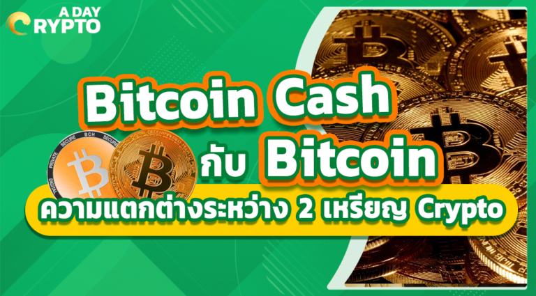 Bitcoin Cash กับ Bitcoin ความแตกต่างระหว่าง 2 เหรียญ Crypto