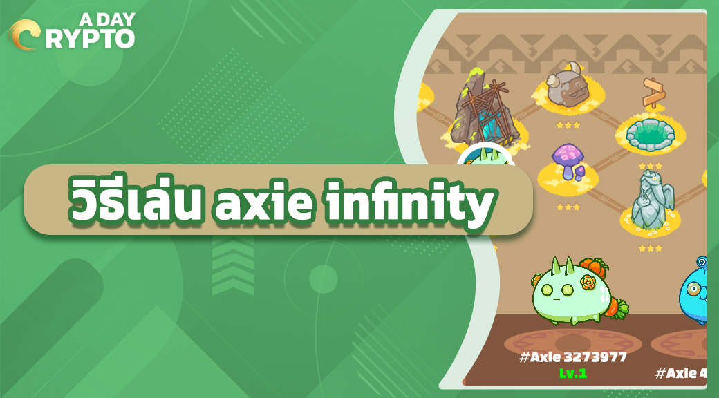 วิธีเล่น axie infinity